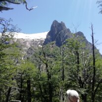 IMG_20191122_140019 22/11/2019 - Heu, non, ce ne sera pas pour aujourd’hui le sommet. Perhaps the summit is way beyond our reach but we climbed over some fairly technical patches -...